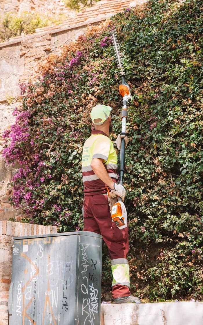 Gepflegter Garten mit frisch gemähtem Rasen